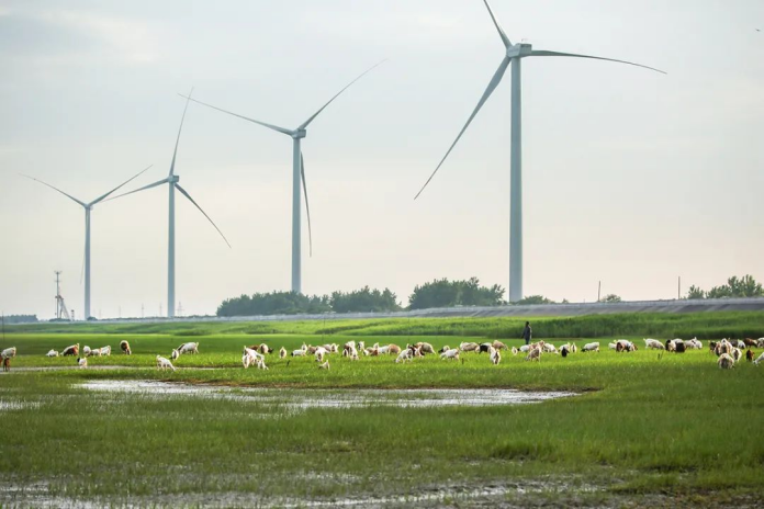 How Much Electricity Can a Wind Turbine Generate In One Revolution?插图